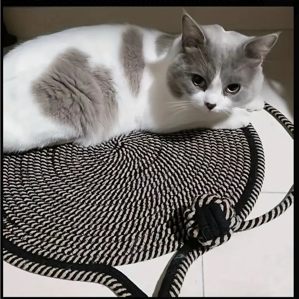 Cat scratching pad with toy, pet supplies
